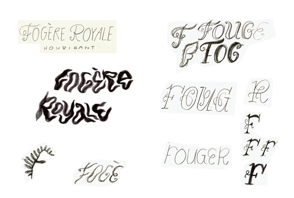 Fougere Royale Sketches